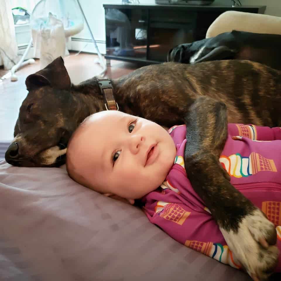 a smiling child lies next to a sleeping dog