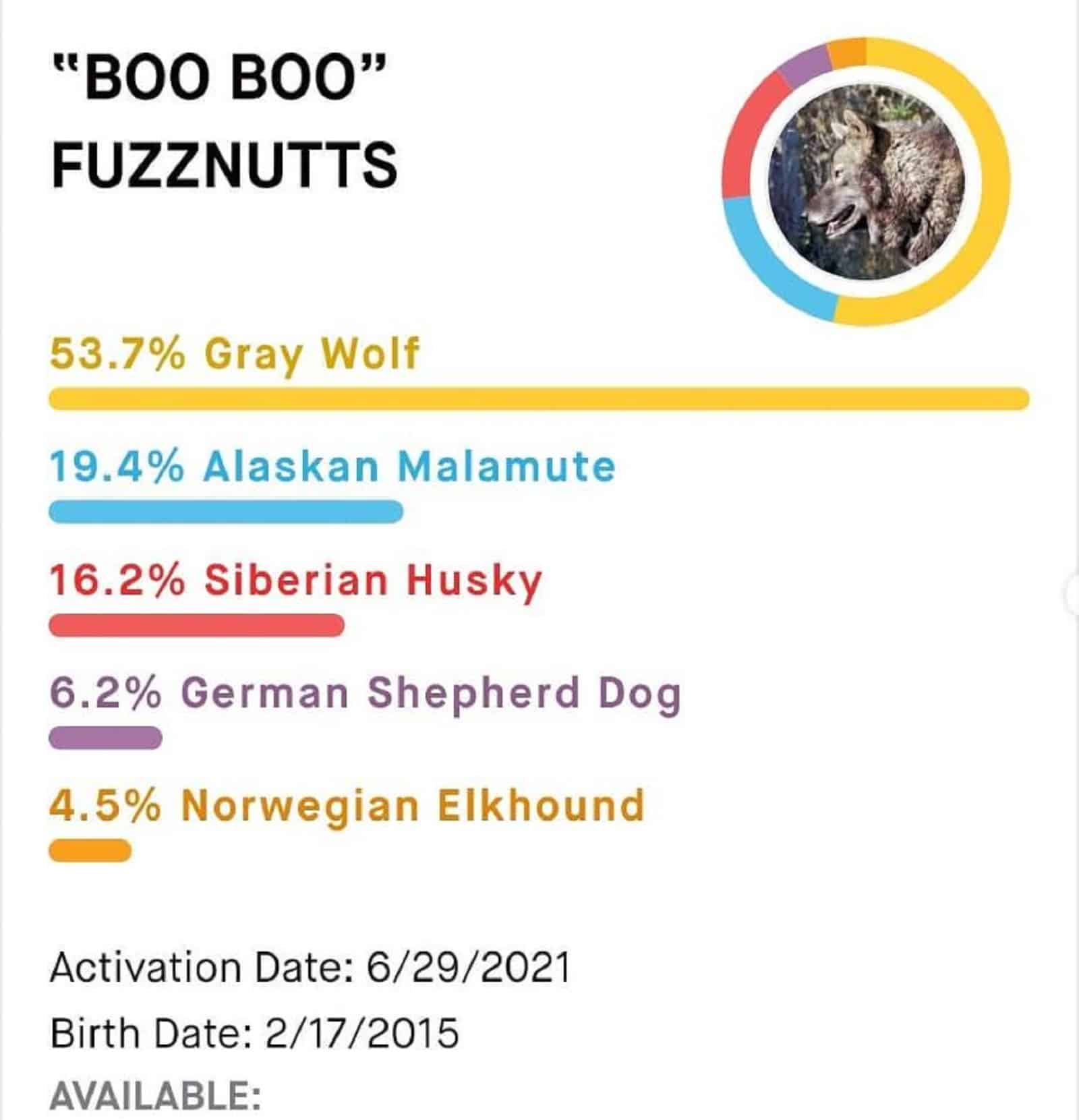 boo boo fuzznutts dna test