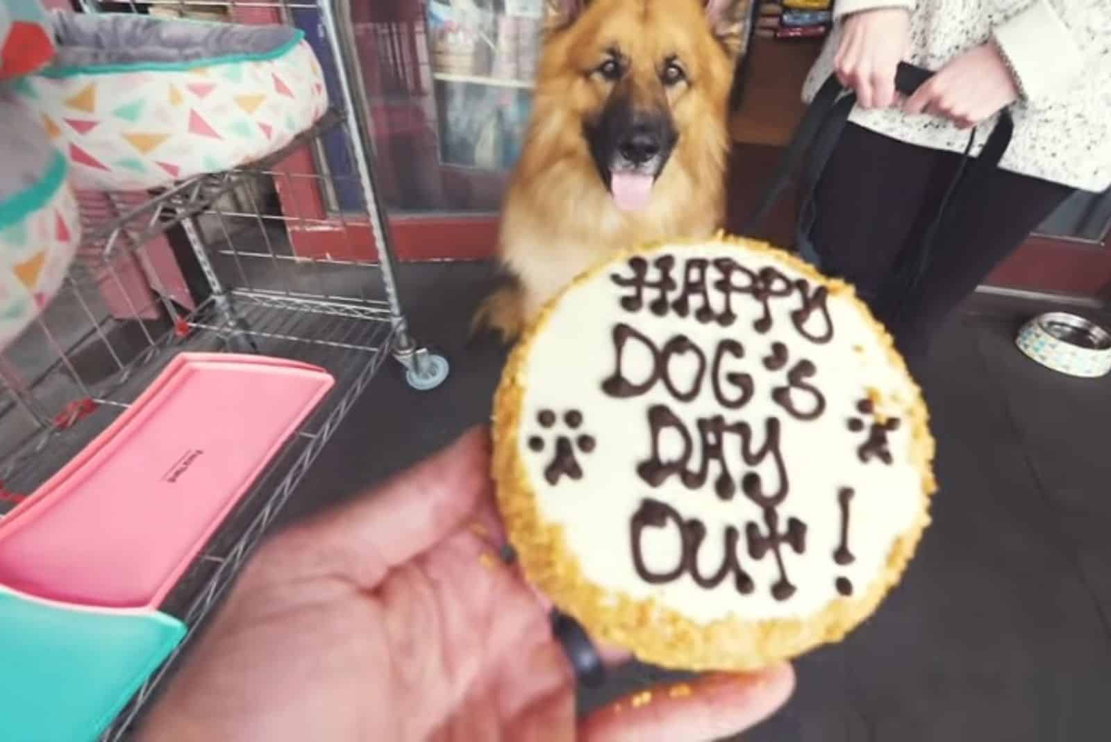 cake for german shepherd