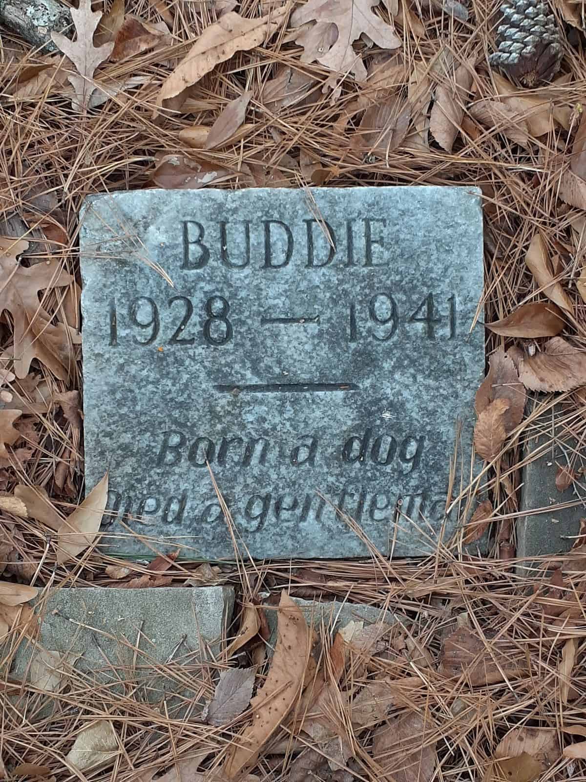gravestone of buddy the dog