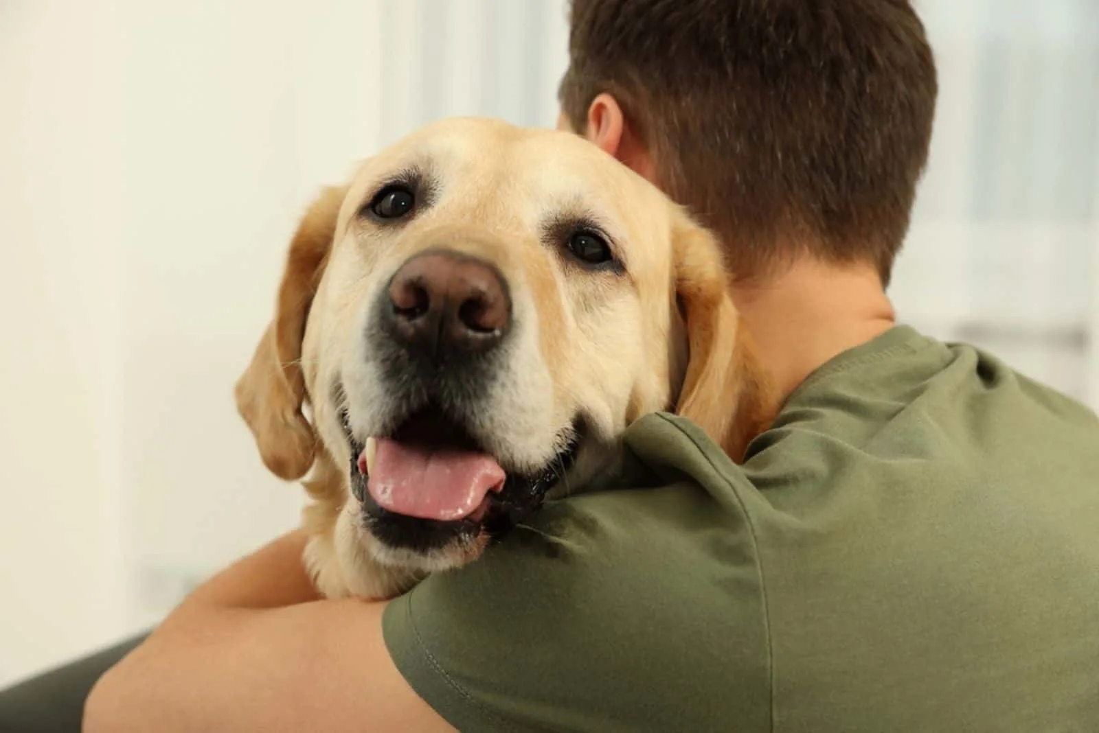 labrador hugging owner