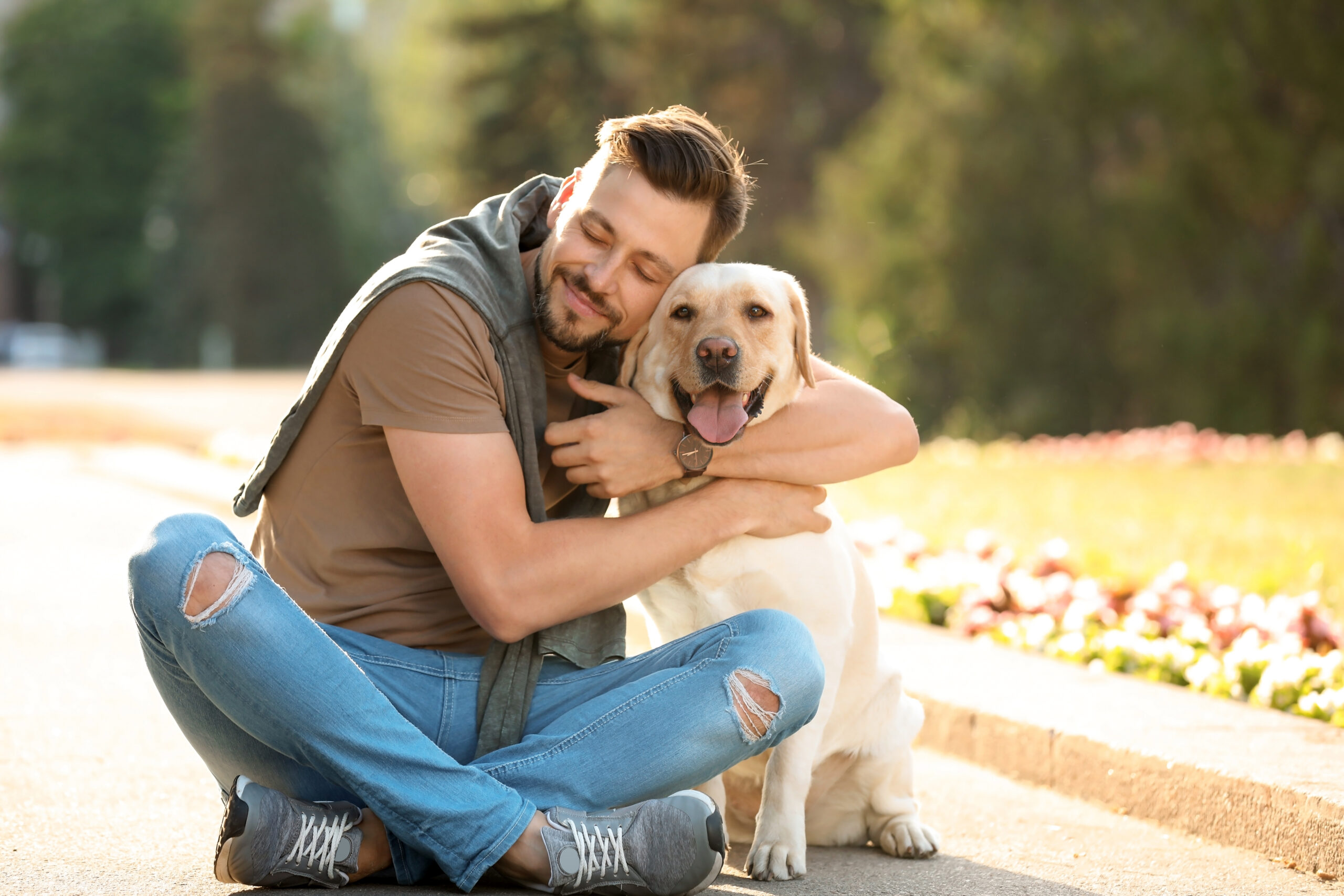 labrador retriever hugs owner