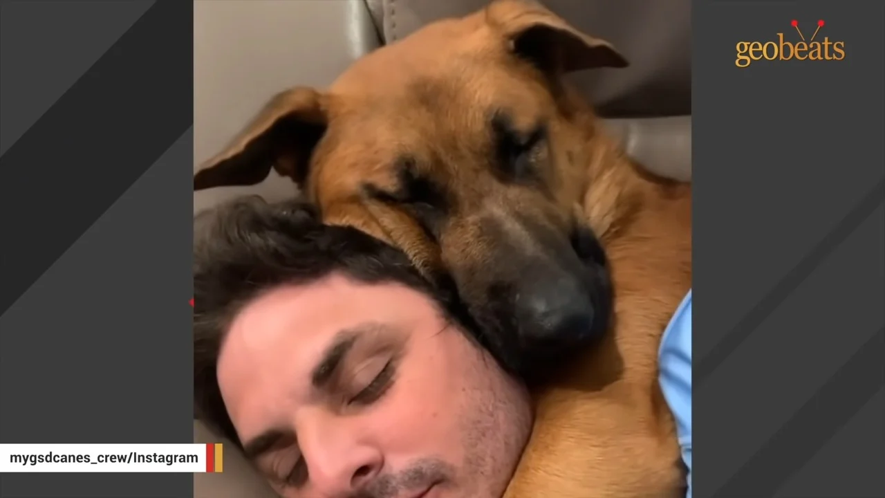 man and german shepherd in hug sleeping