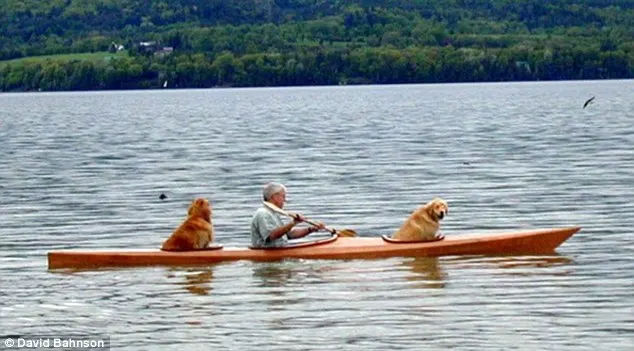 man in kayak with dogs on a lake
