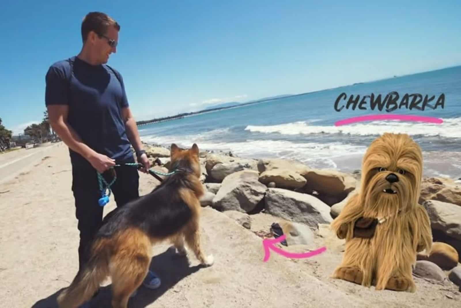 man walking german shepherd on the coast