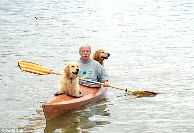 man with two dogs in kayak
