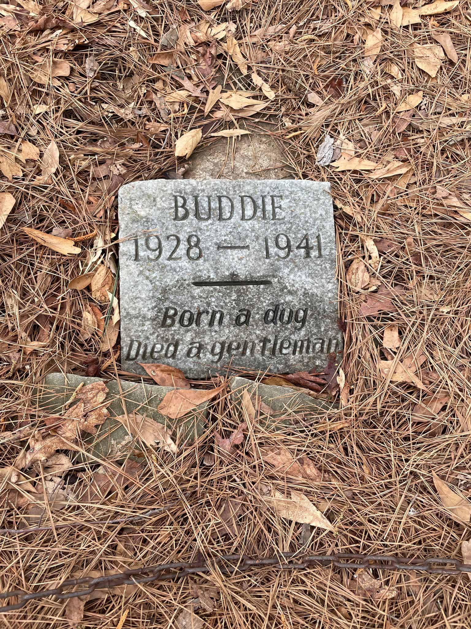 photo of buddie the dog's grave
