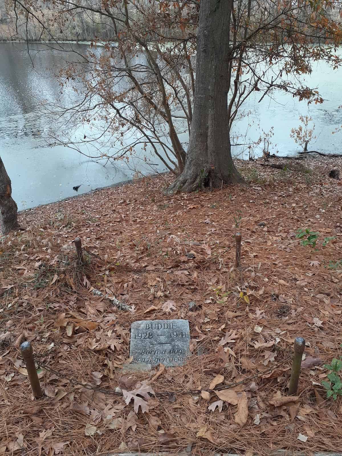 photo of the dog grave in Kiroli Park