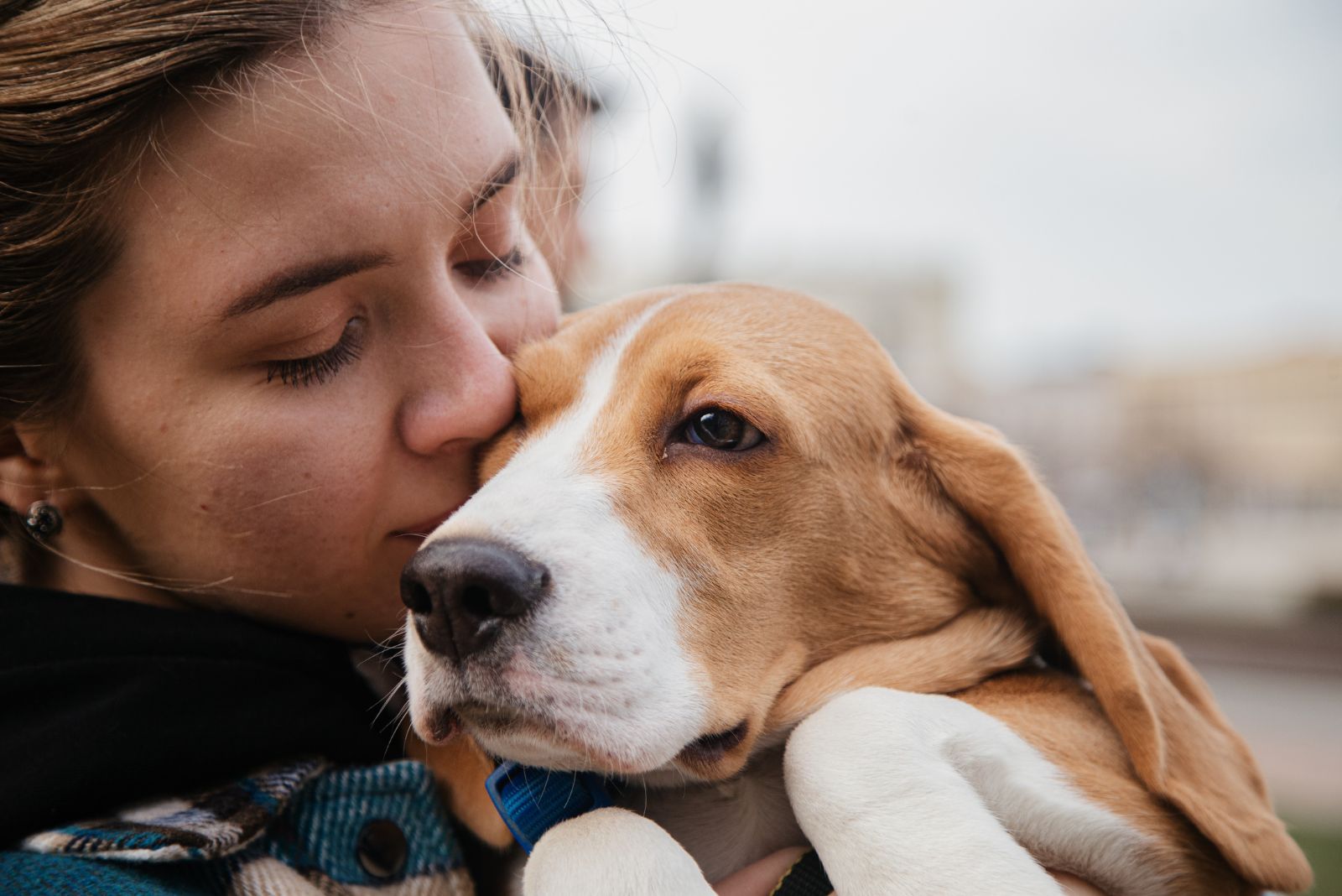 woman kissing a beagle