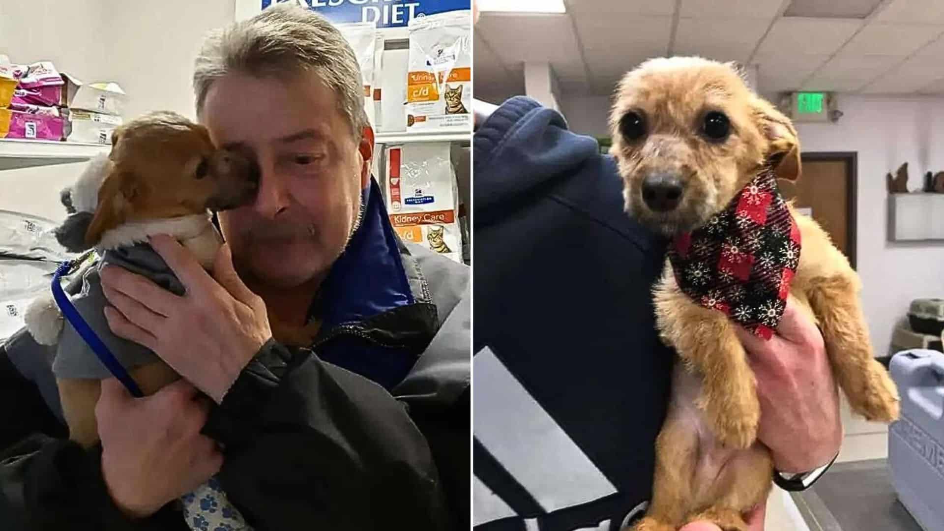 Puppy Thrown Off A Bridge With Electrical Tape Over His Mouth