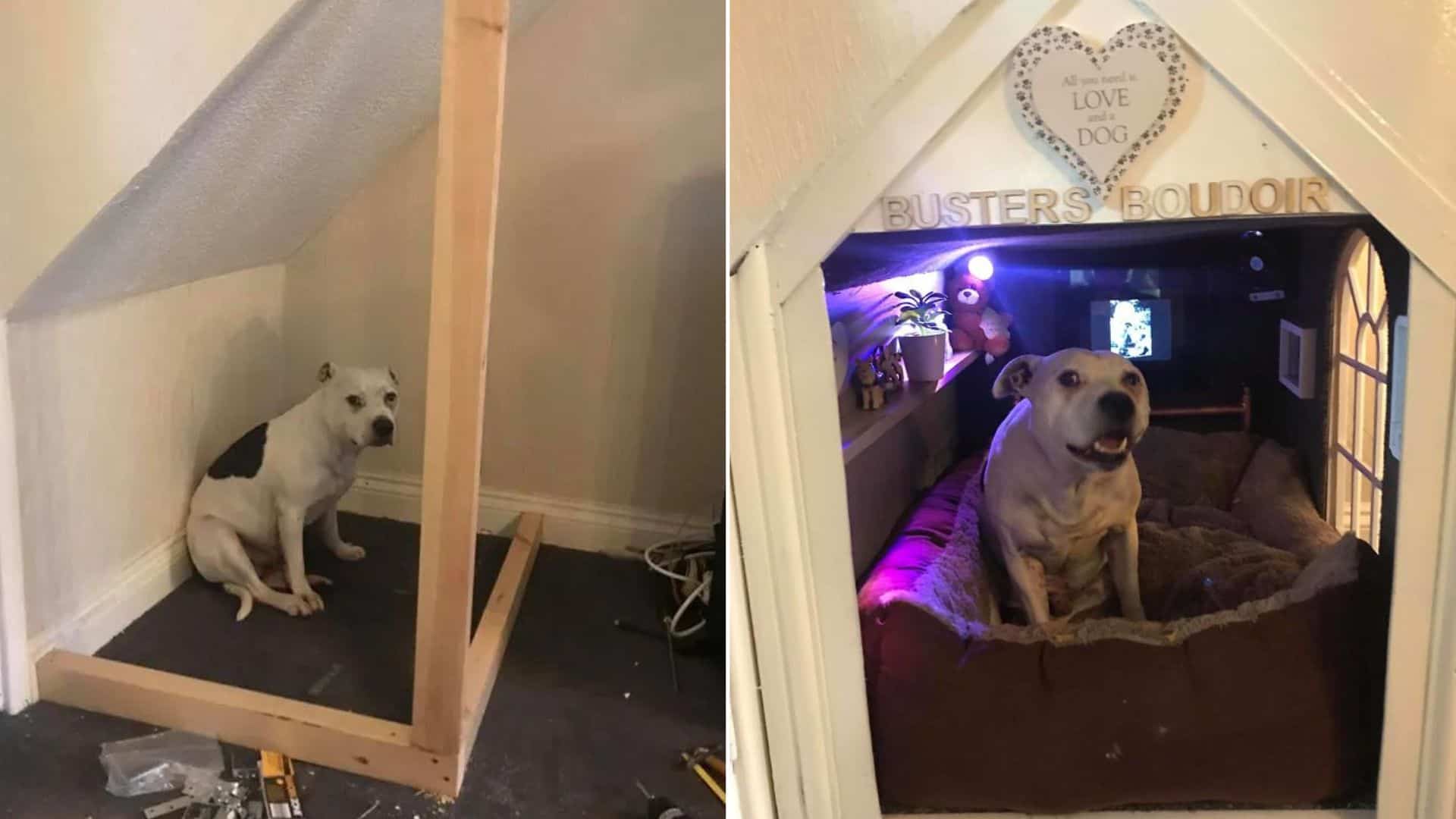 dog in his mini house