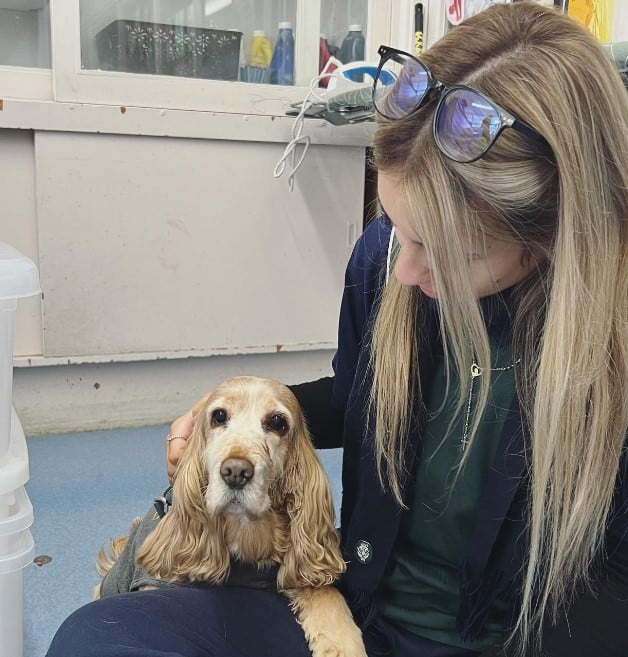 a girl pet her dog at work