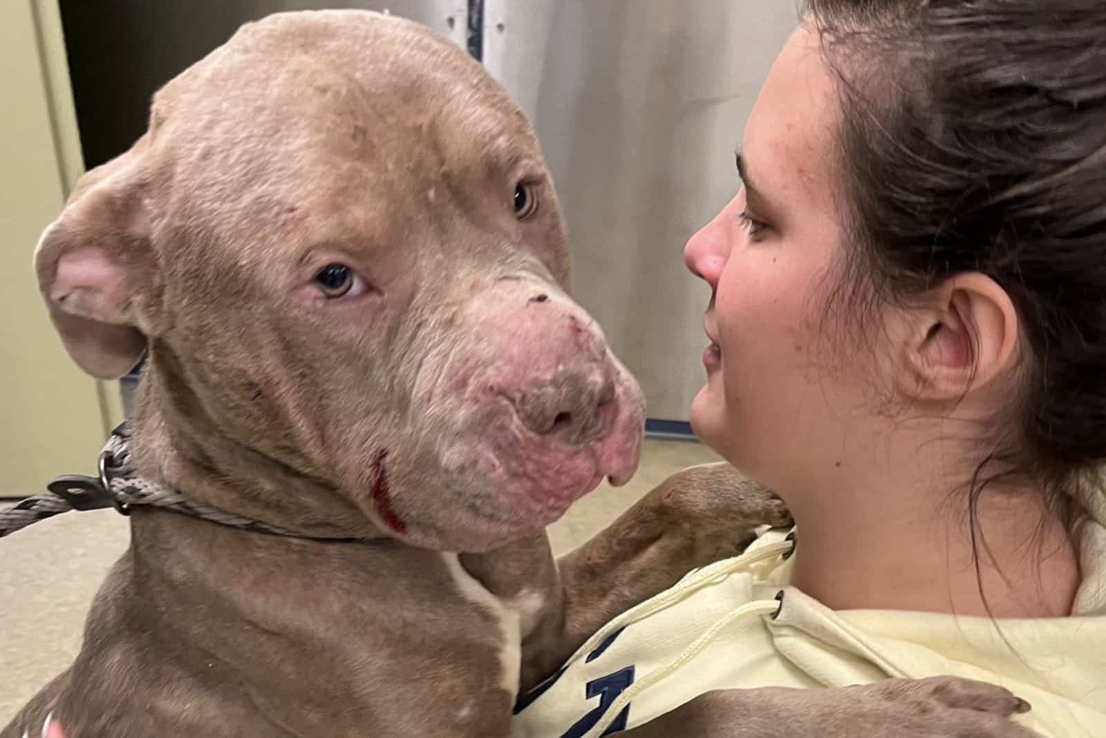 dog embracing a woman and cuddling with her