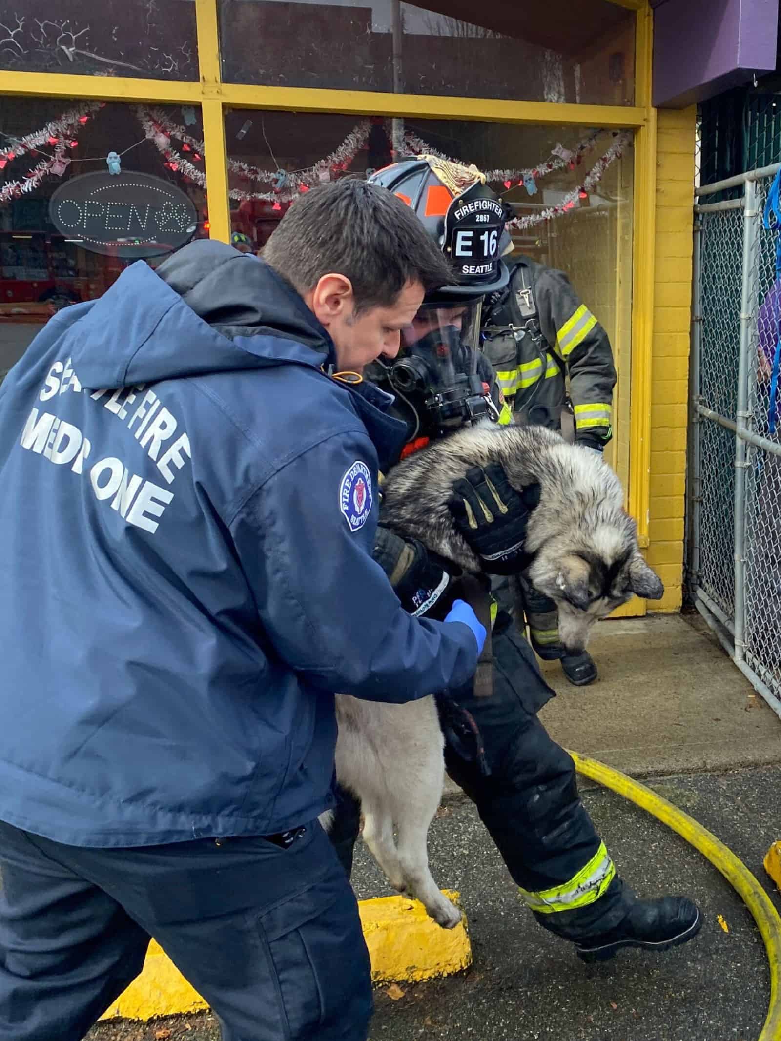 firemen carrying a dog rescued from fire