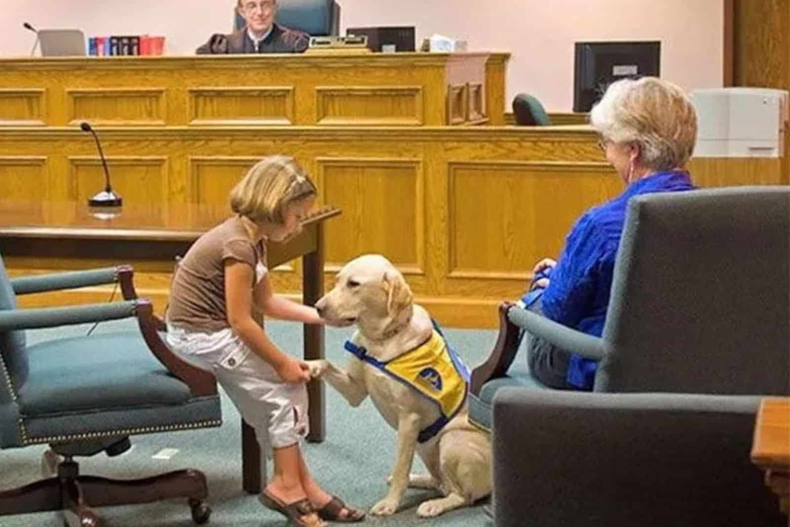 the dog gives a paw to the little girl