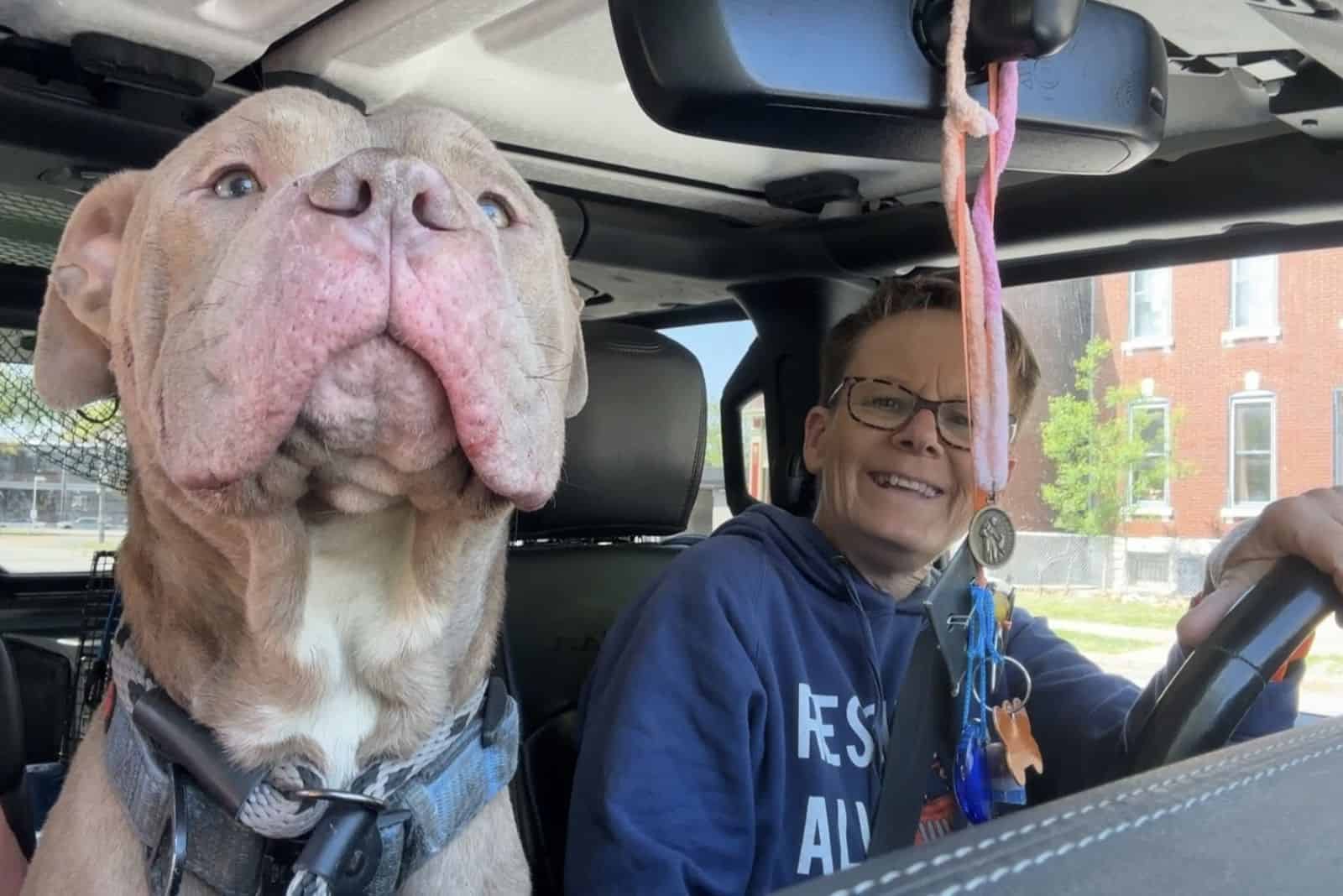 woman driving a dog on front seat