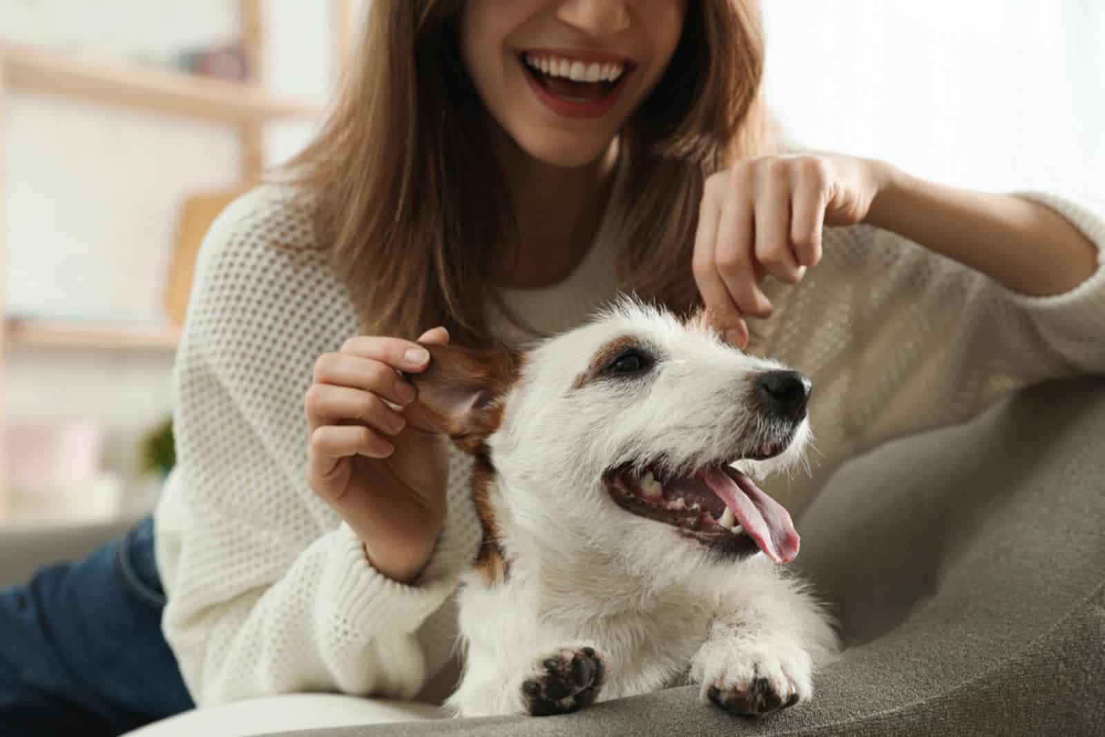 woman with her cute jack russell terrier on the sofa at home