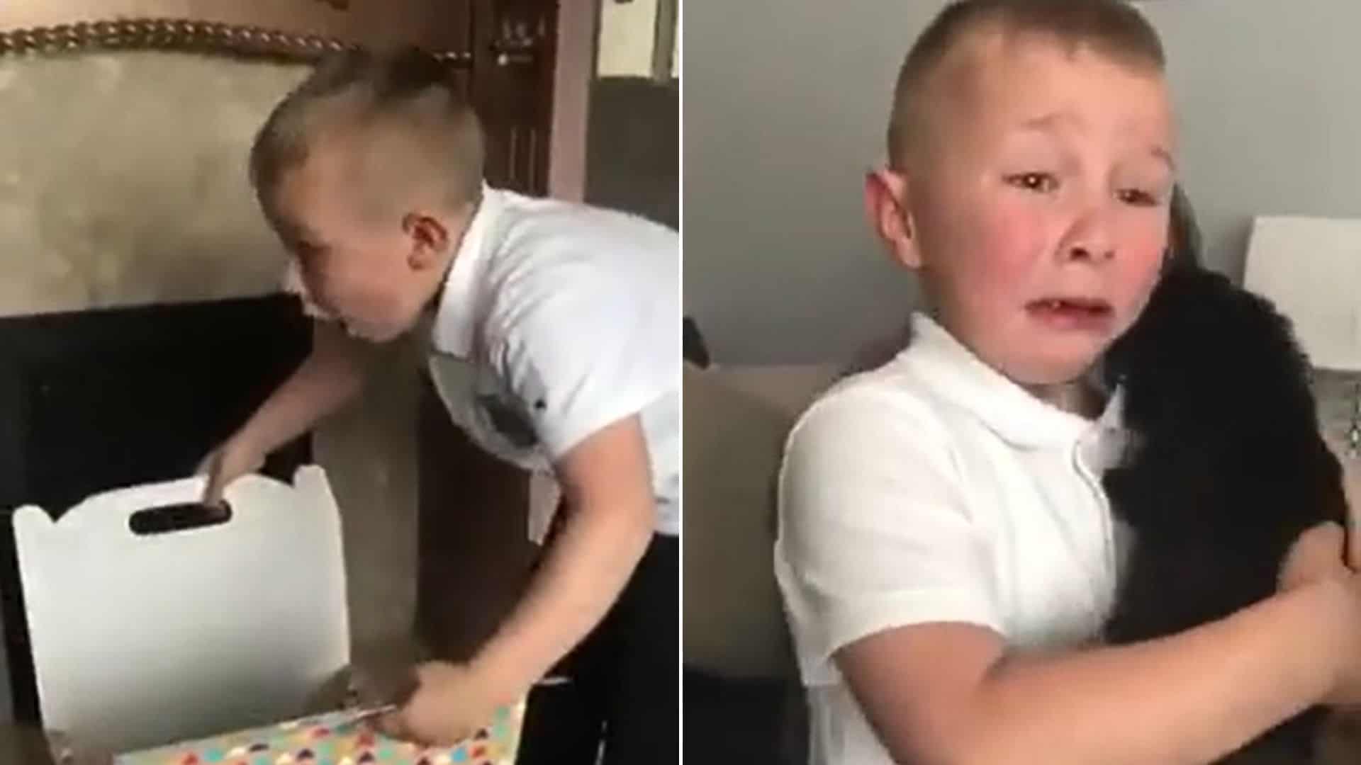 This 7-Year-Old Boy Gets The Most Beautiful Surprise In A Box