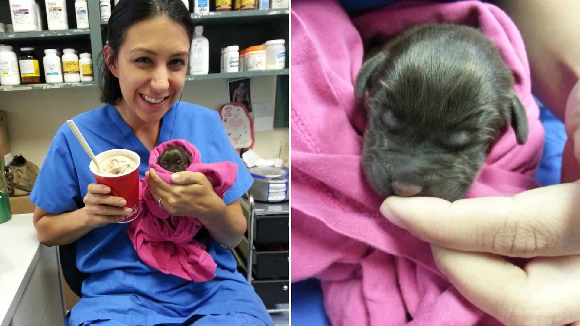 woman holding a newborn baby