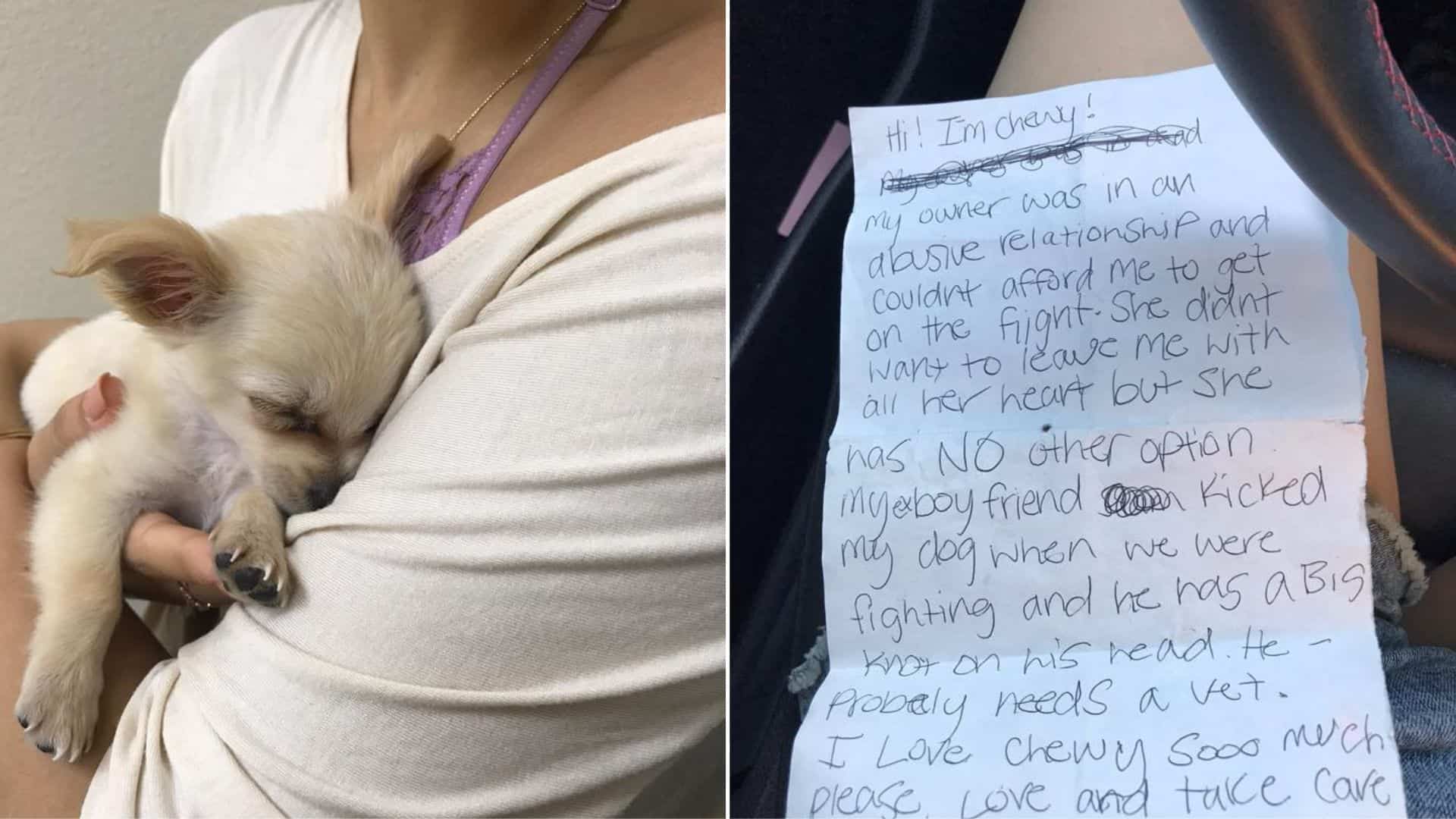Sweet Dog Was Left By His Owner In An Airport Restroom Along With A Sad Note