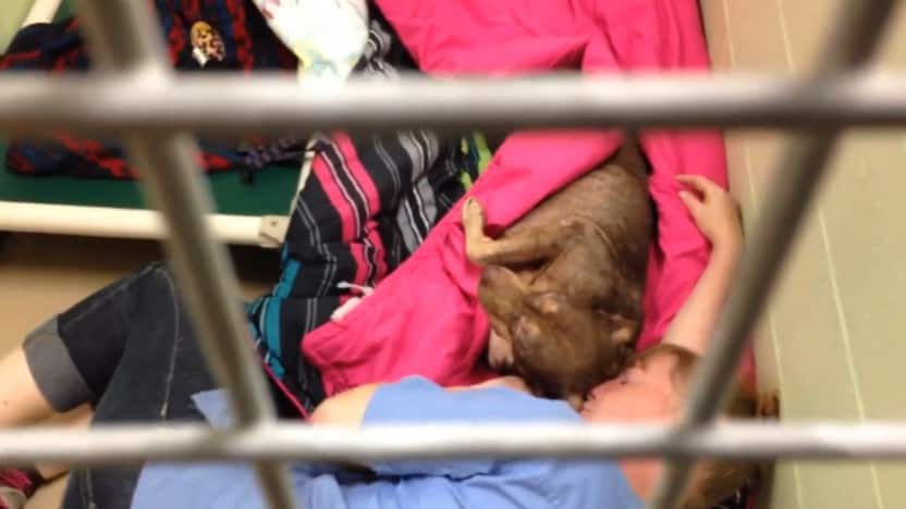 Boy and dog sleeping in cage