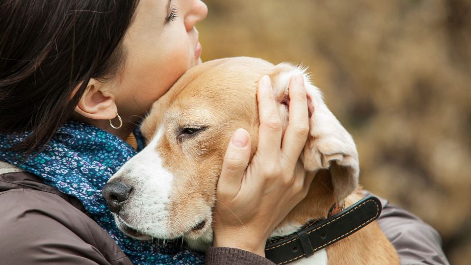 Can Dogs Tell When We Are Sad