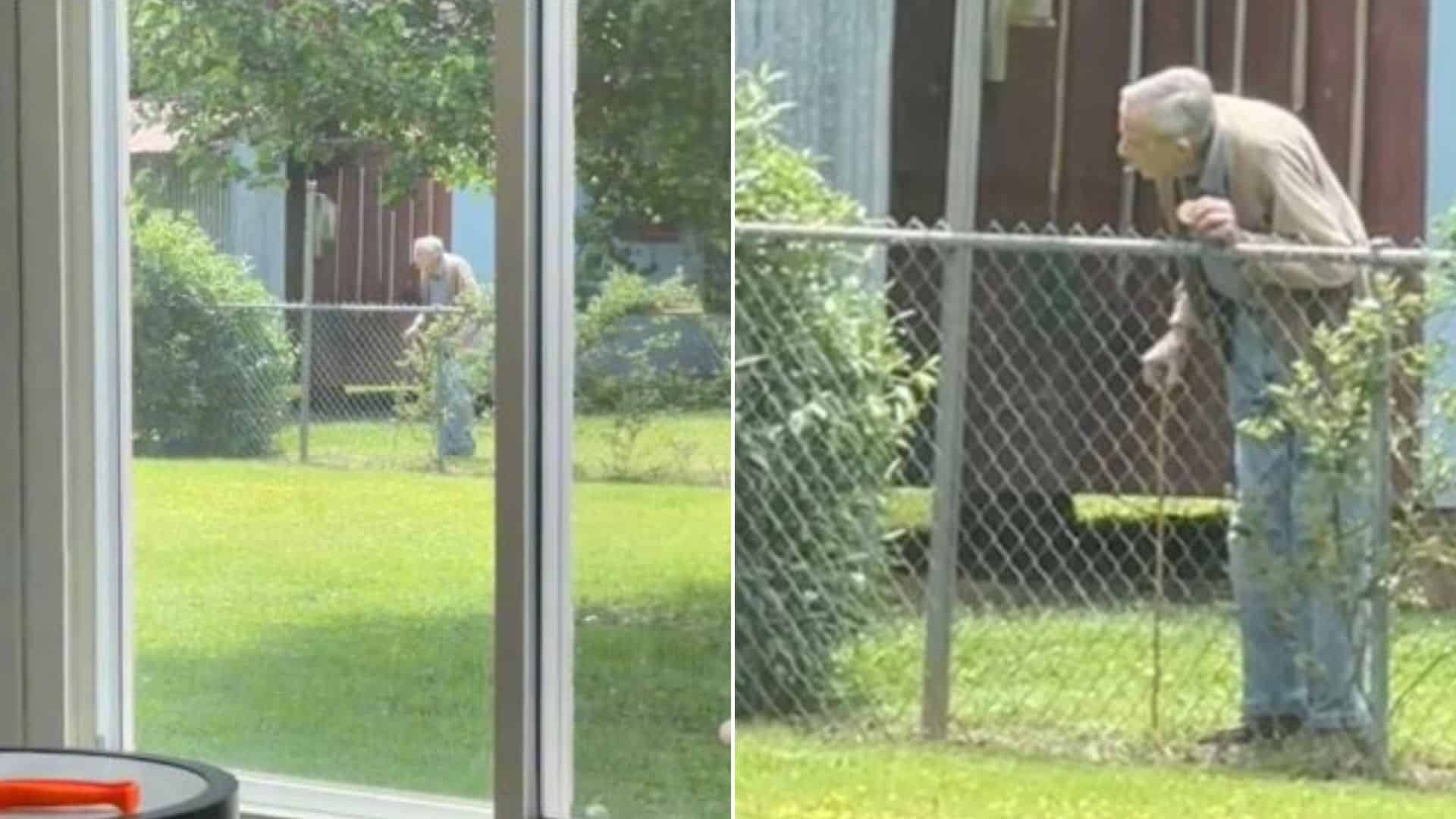 Elderly Man Has The Most Adorable Routine With His Neighbours Dogs