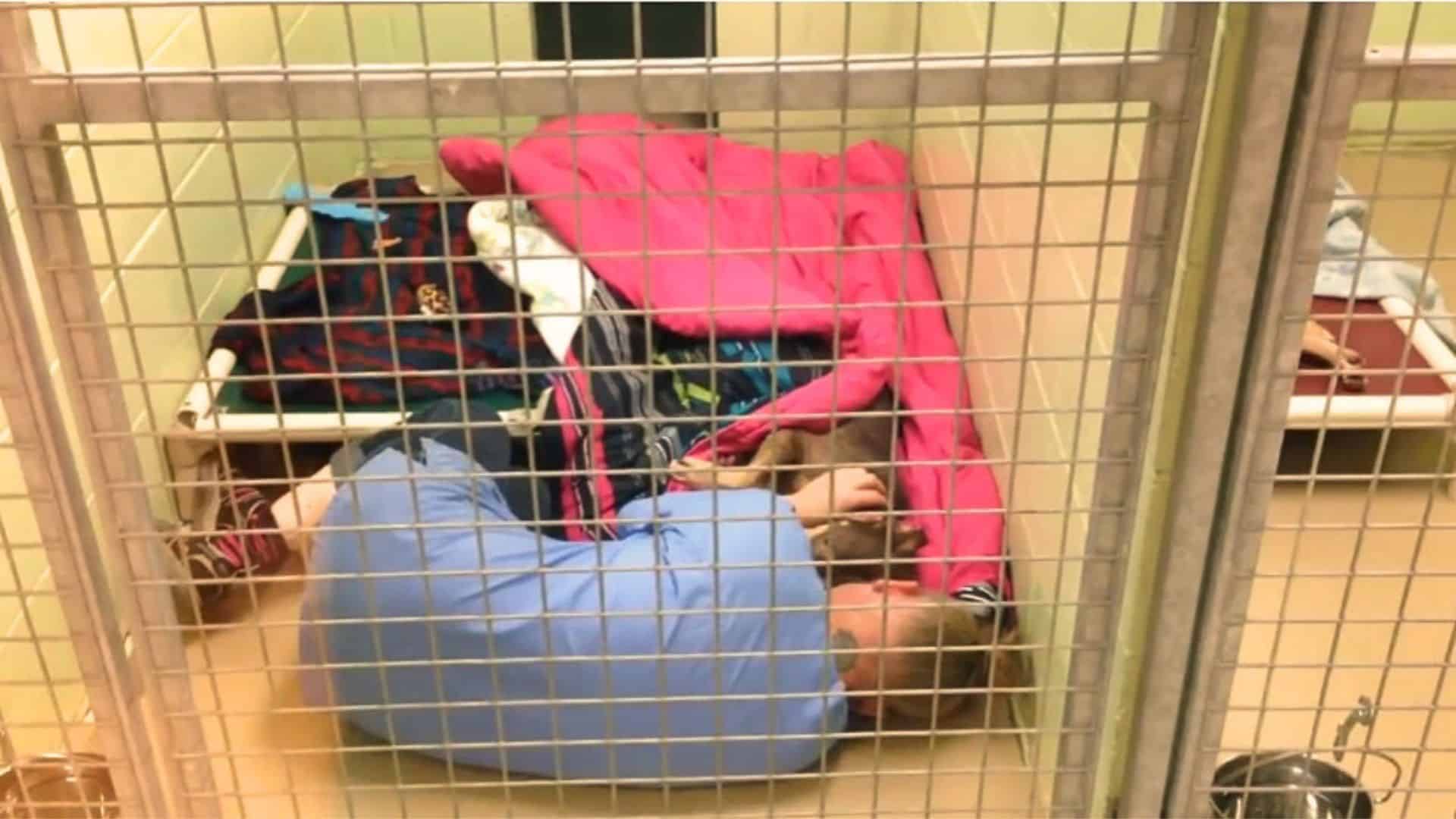 dog and kid sleeping in cage