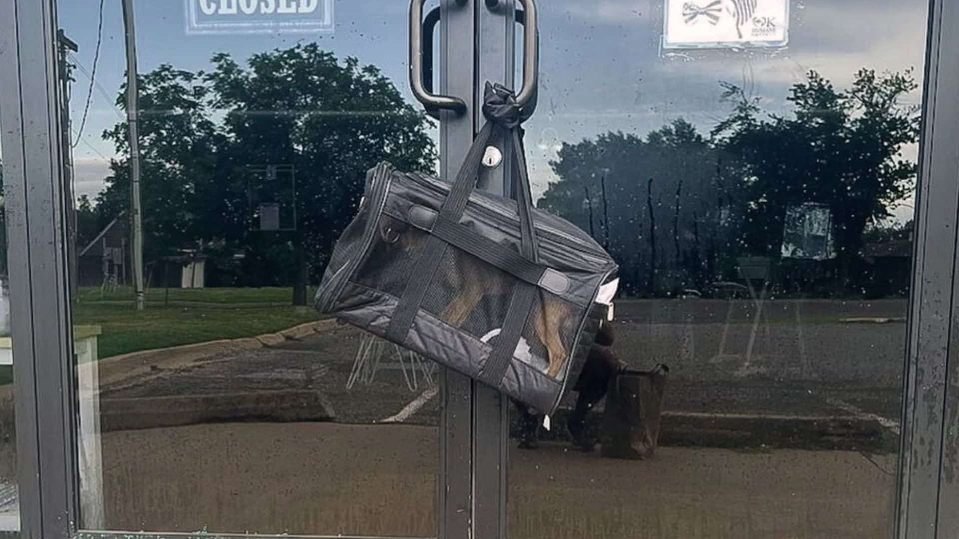Man Realized There Was A Bag Tied To A Door Handle So He Opened It And Was Pleasantly Surprised