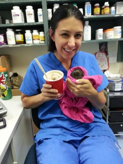 Vet holding puppie