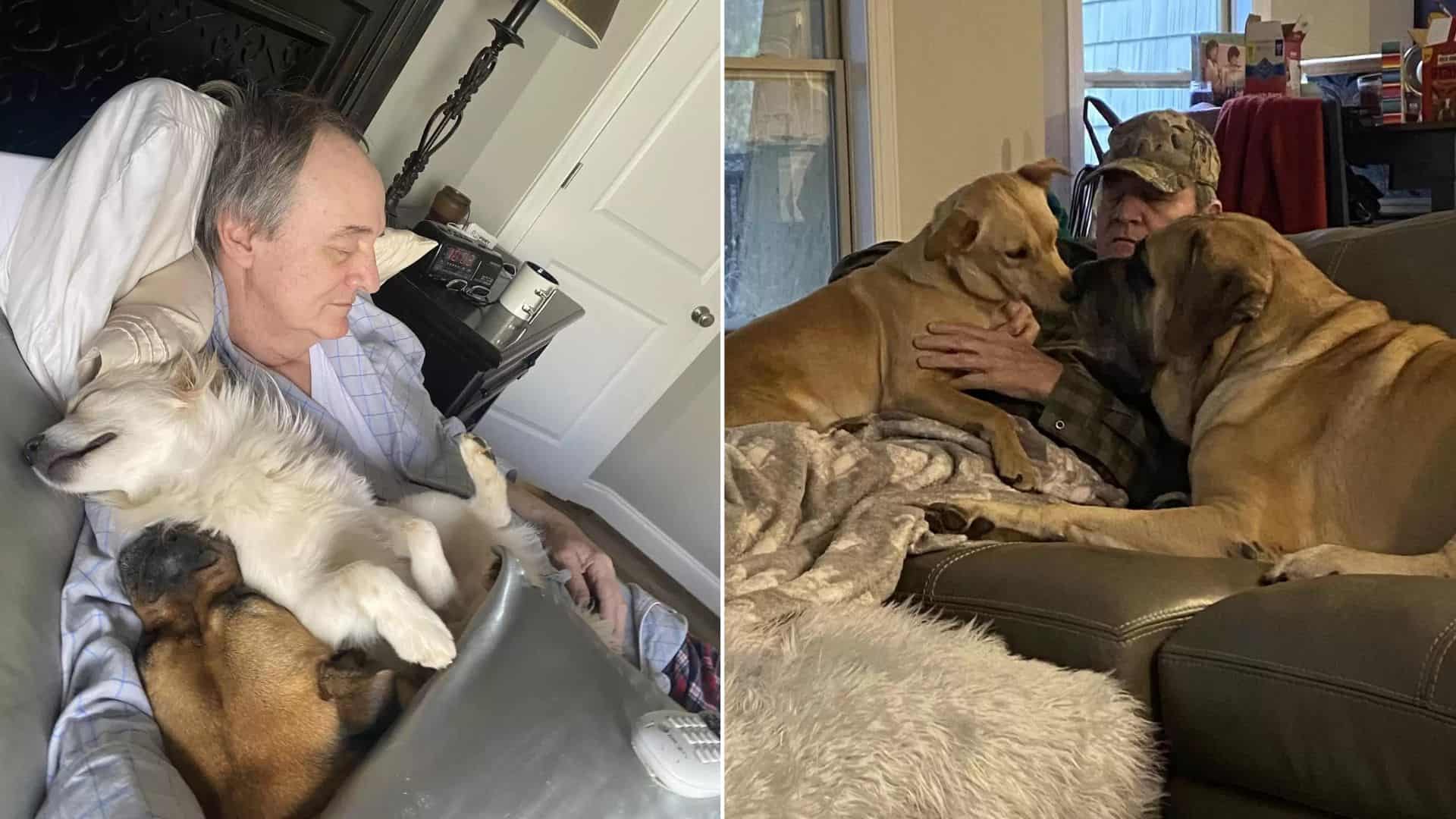 Woman Couldn’t Believe Her Eyes When She Found Her Dad Napping With Neighbor’s Dogs