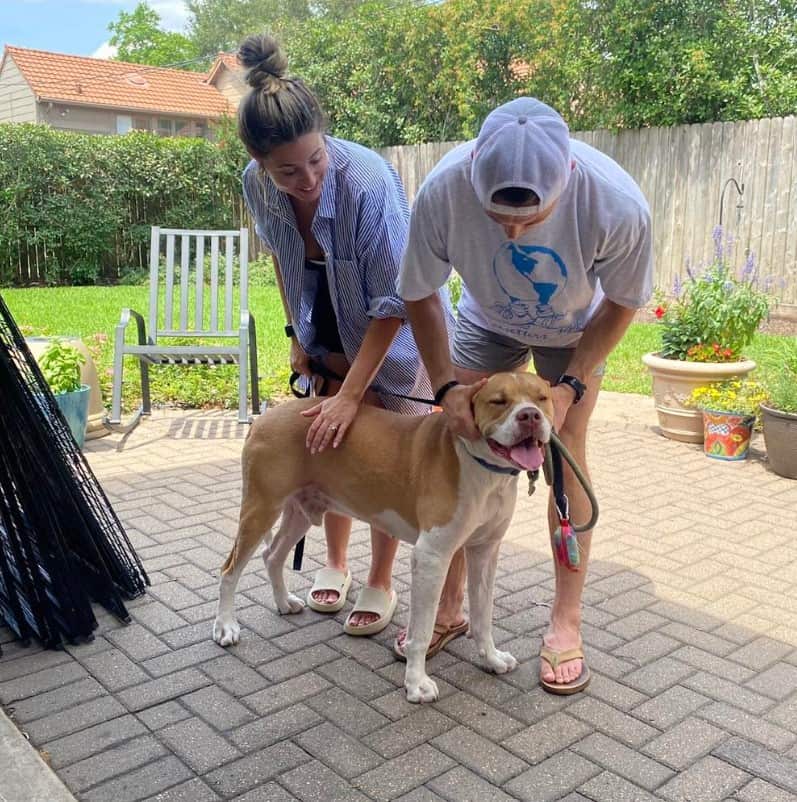 a man and a woman are stroking a dog on the sidewalk