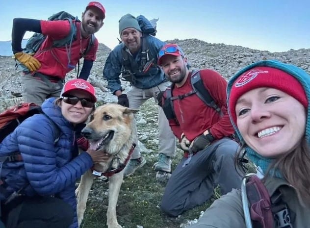 dog with climbers on mountain