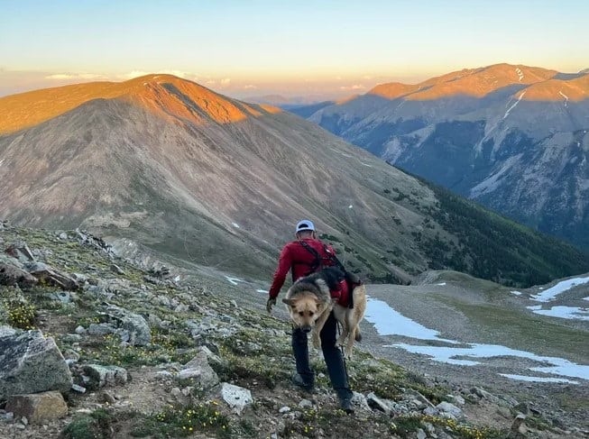 man carrying dog on the mountain