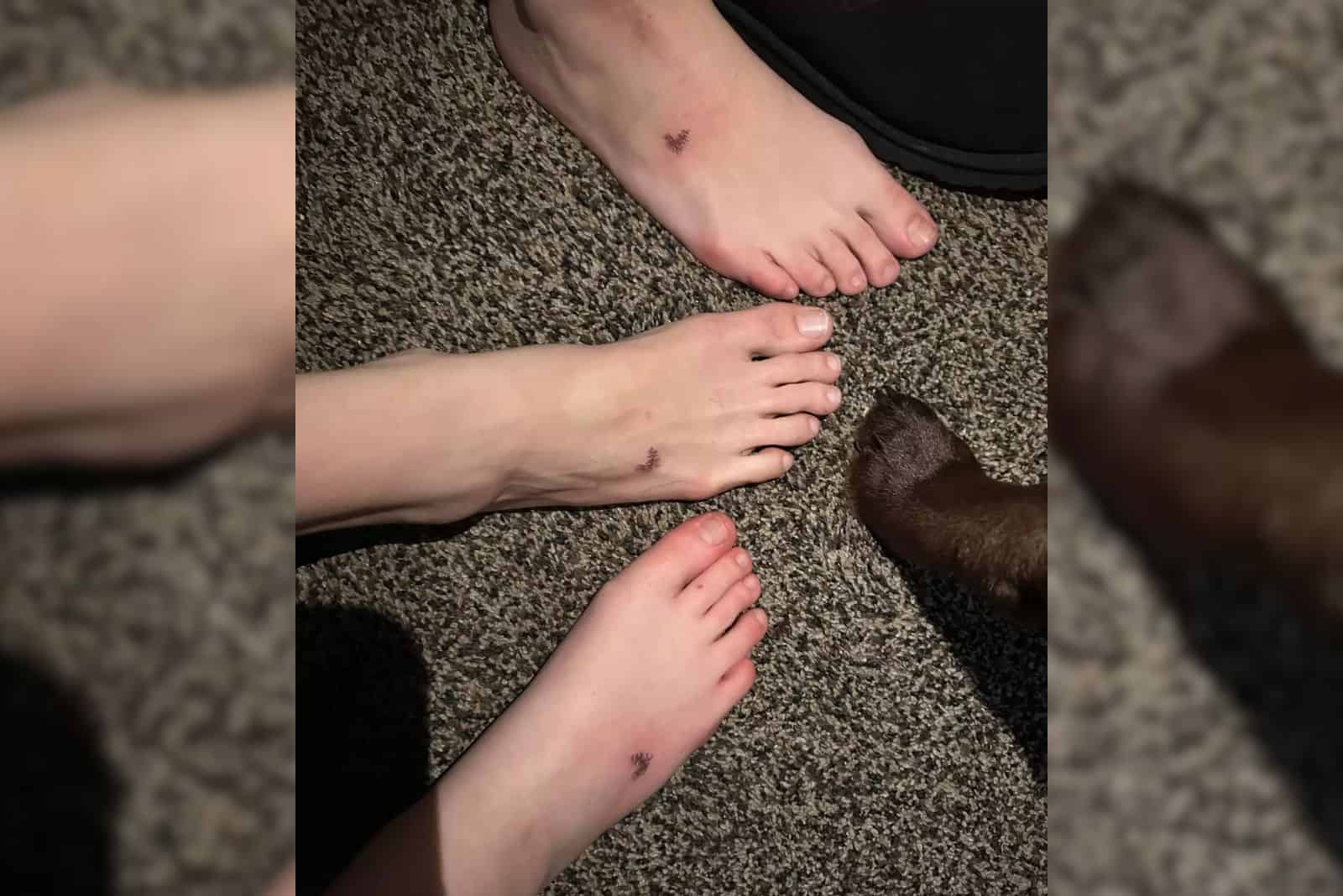 photo of three feet with heart tattoos