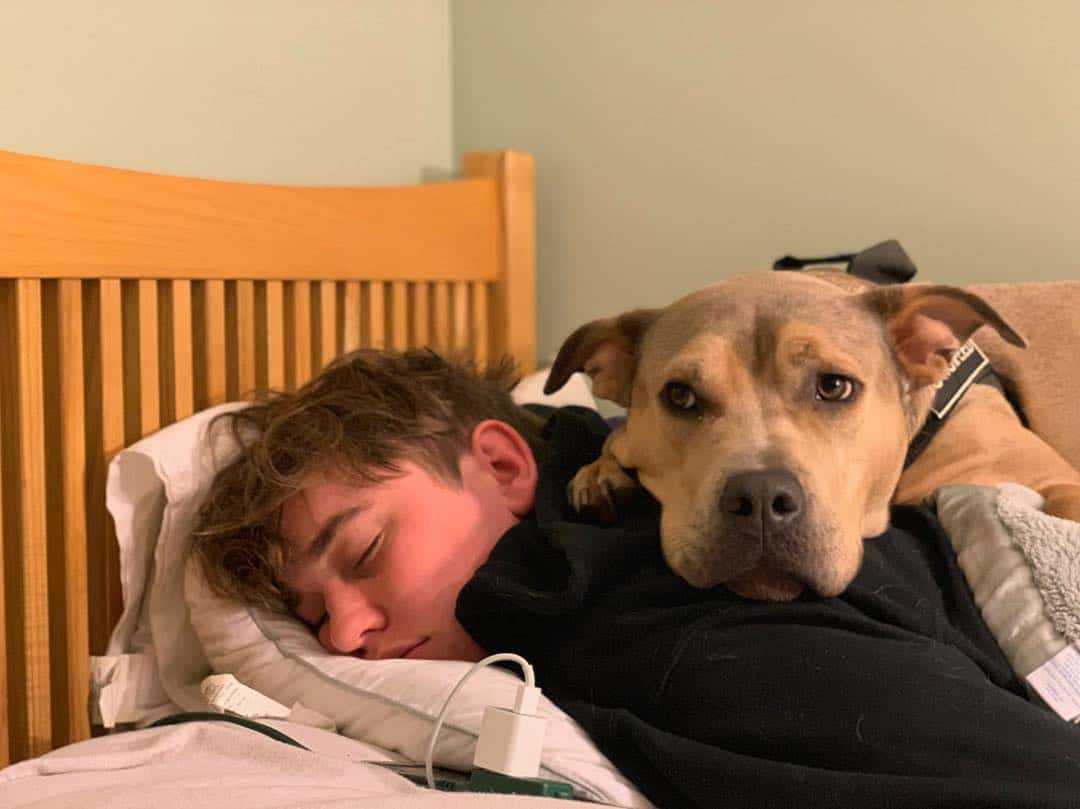 rescue dog sleeping with his owner