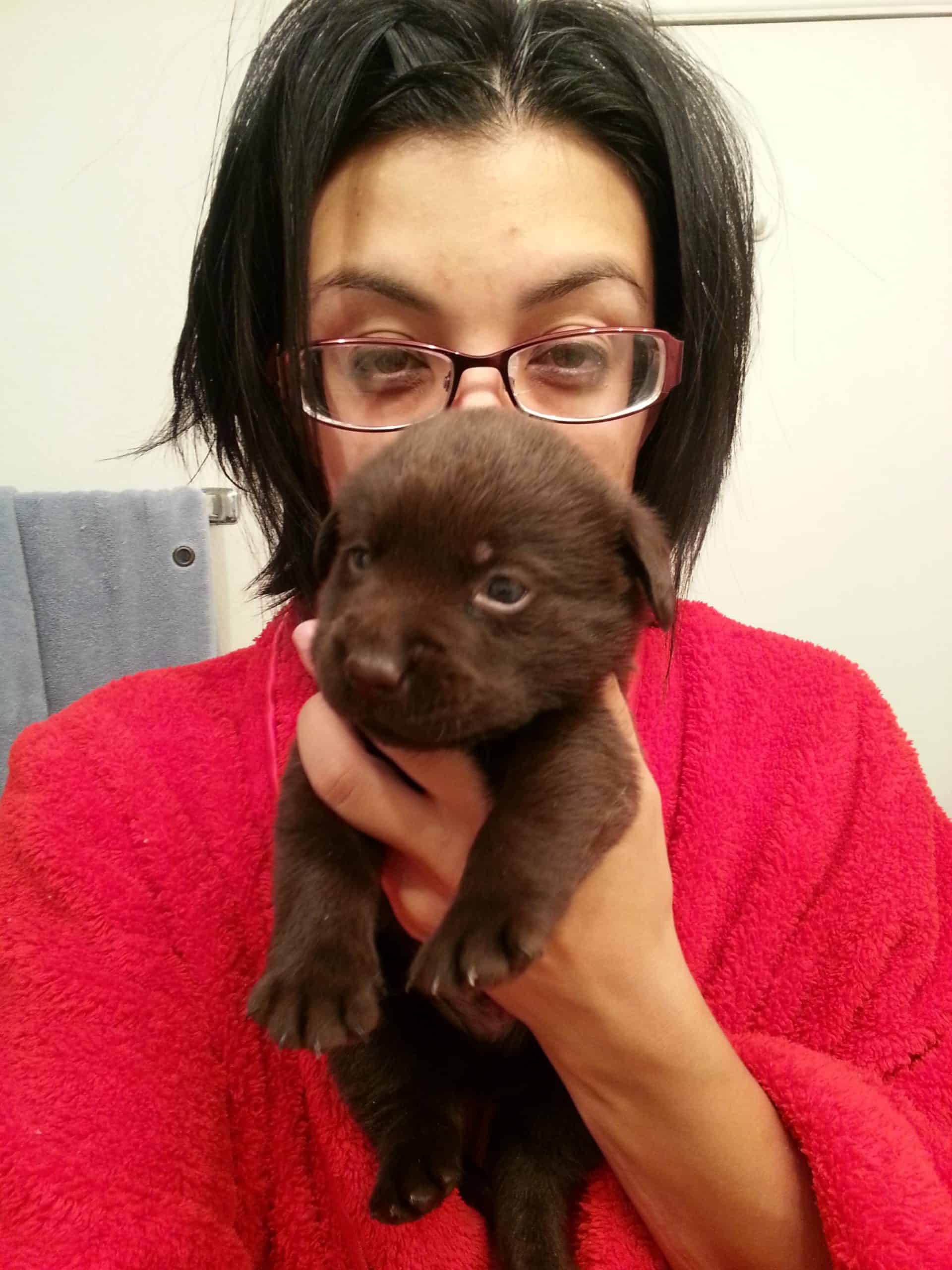 woman holding cute puppie