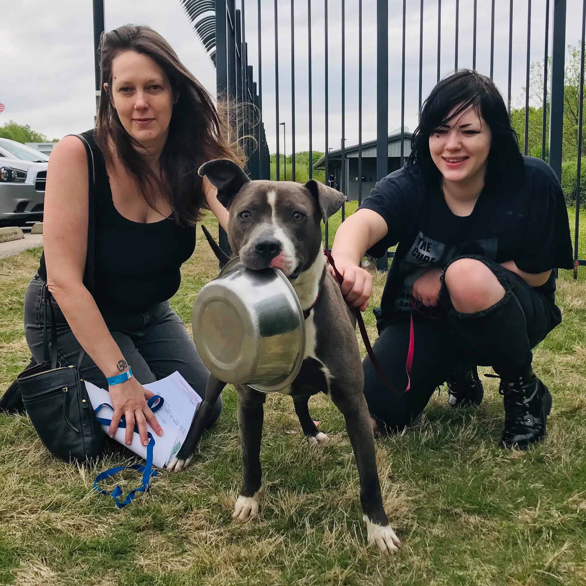 women with a dog from shelter