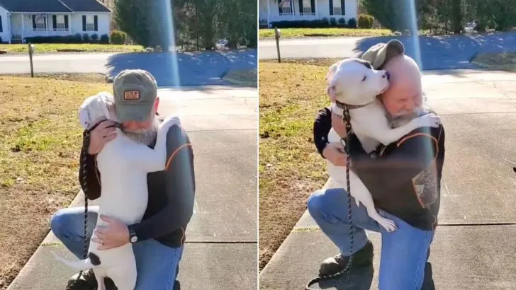 A Rescue Dog Meets Her New Human Dad And Can’t Stop Hugging Him