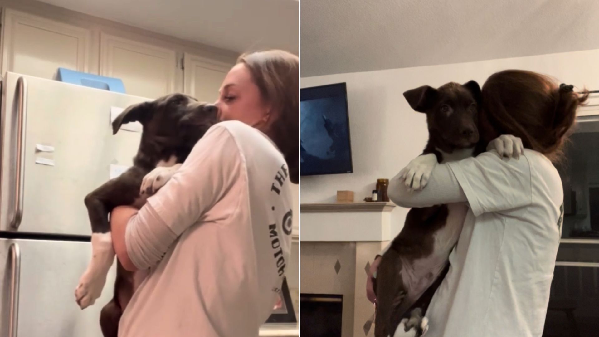 Nervous Pup Keeps Hugging His Foster Mom