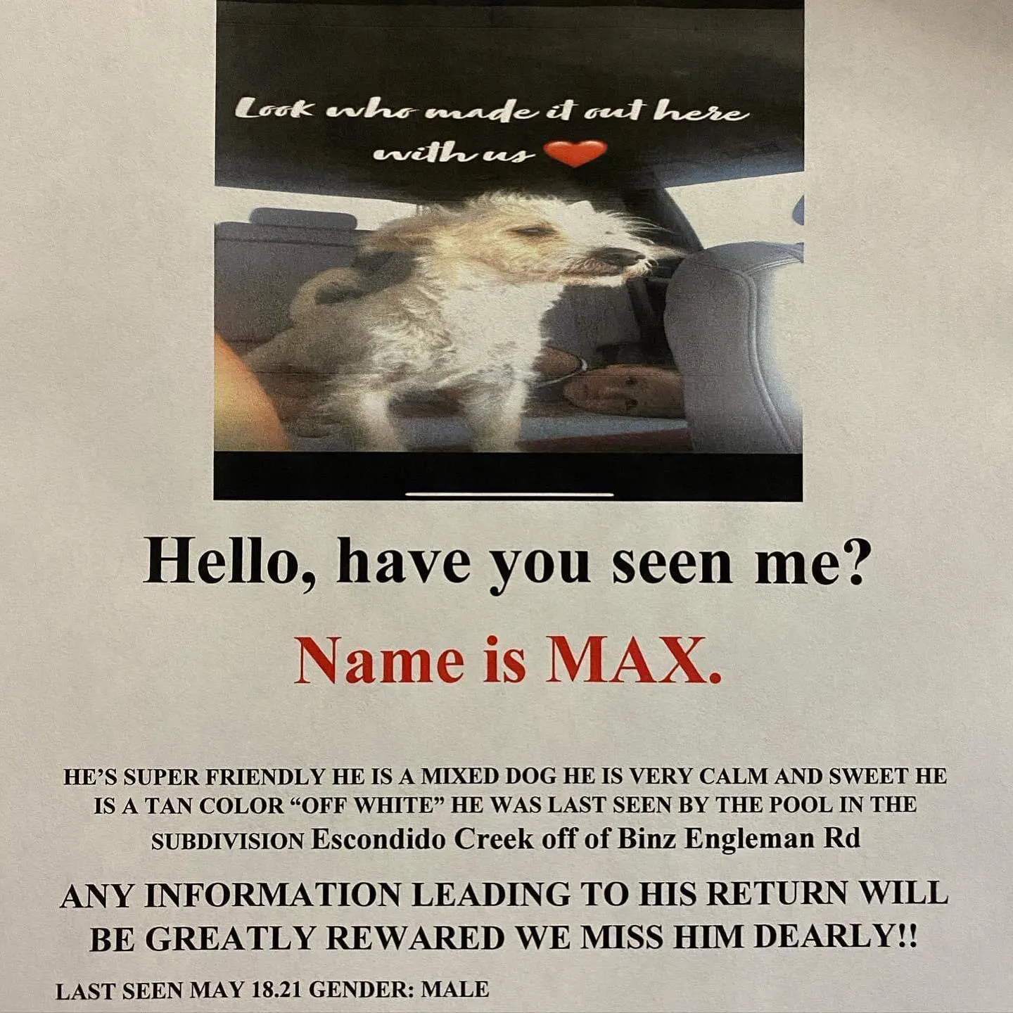 flyer of a missing dog