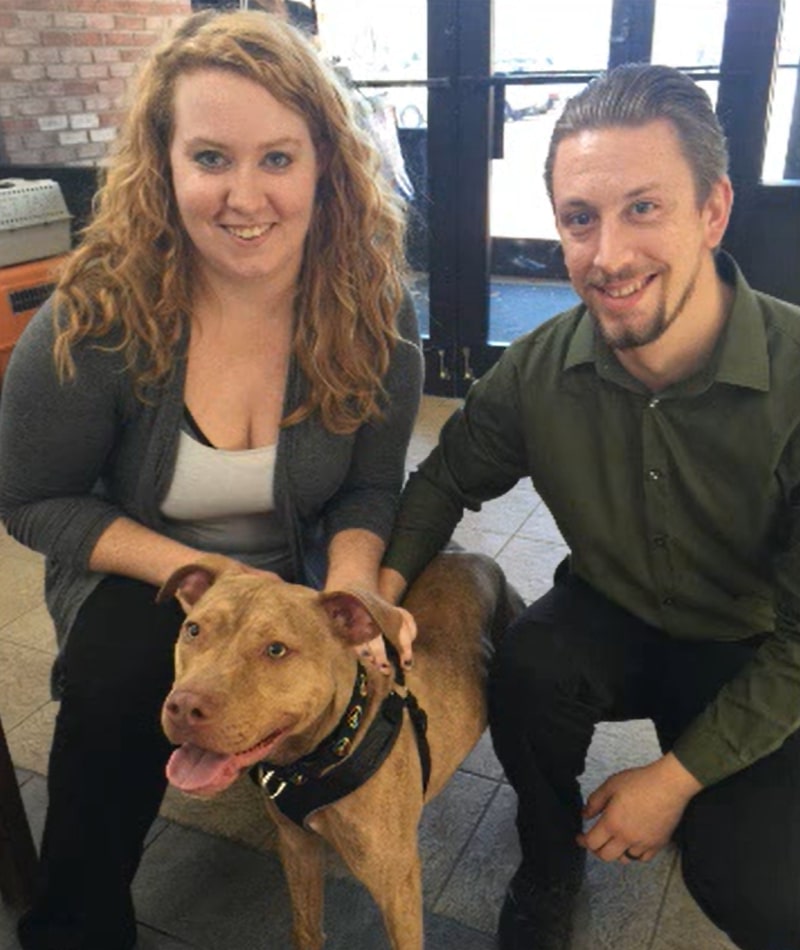 pitbull rush with man and woman smiling