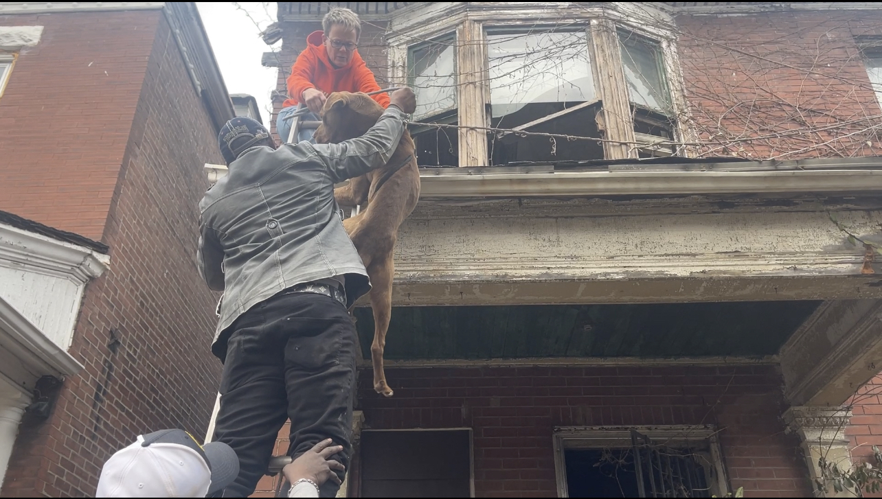 woman and a man rescuing dog