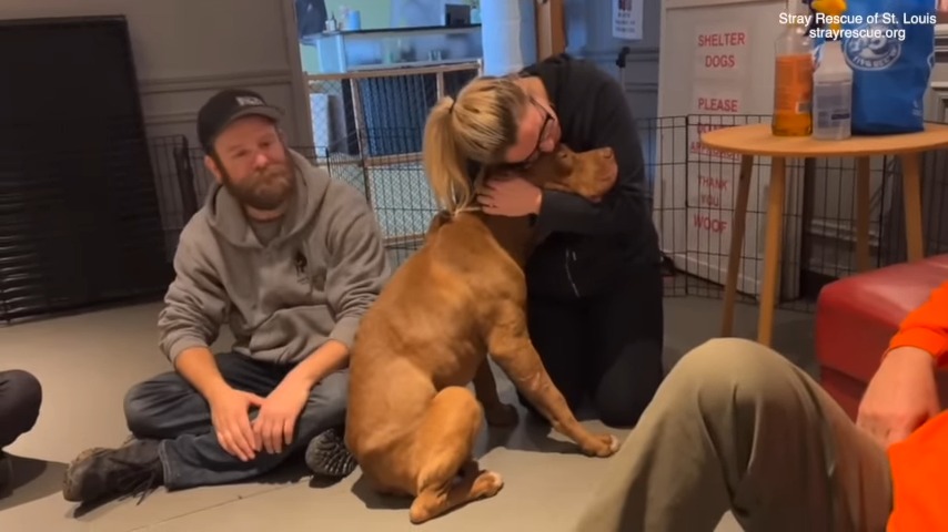 woman hugging the rescued dog