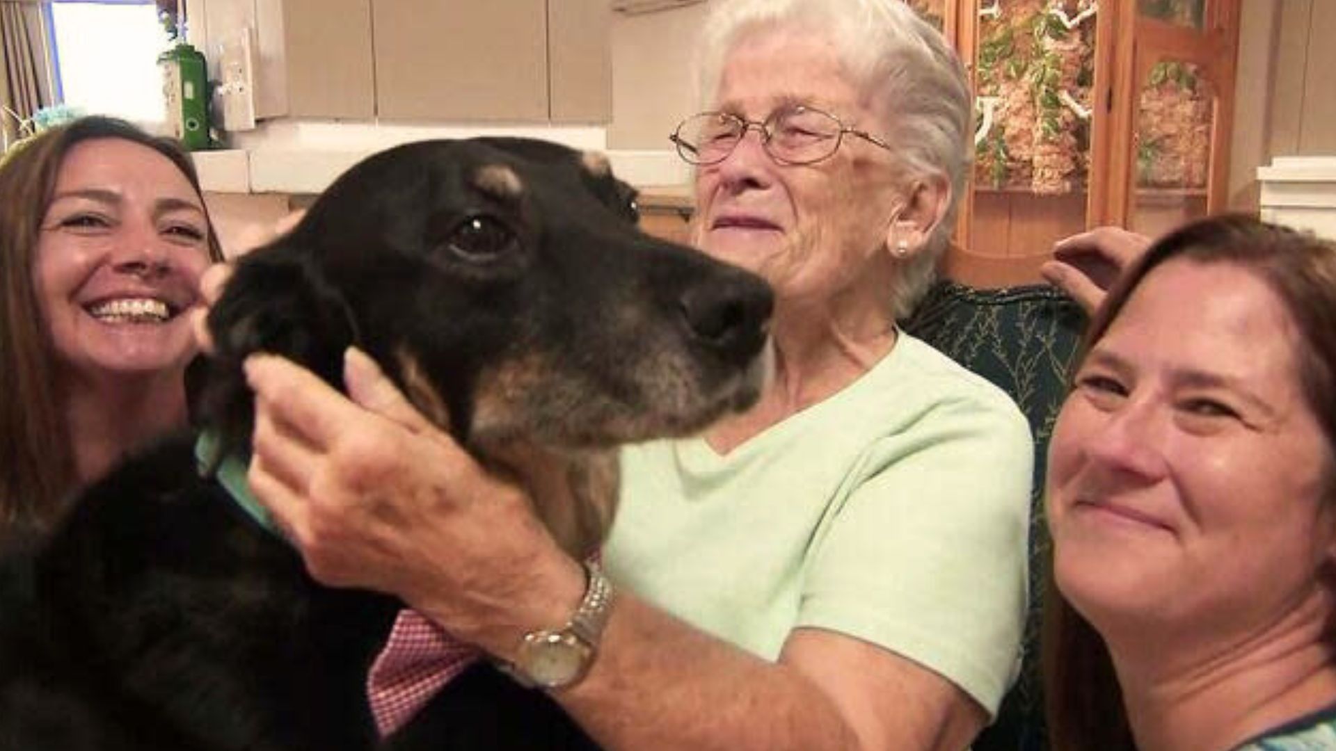 Dog Kept Breaking Out Of Shelter And Running To A Nursing Home To Hang Out With Its Residents
