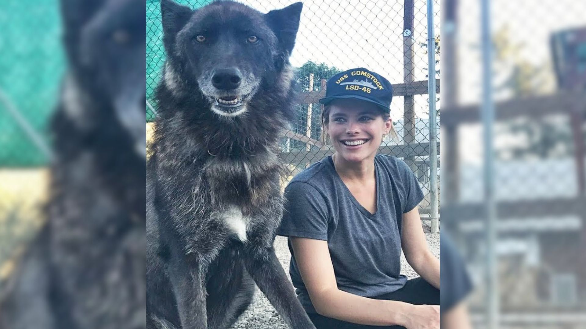 photo of rescue wolfdog and a woman