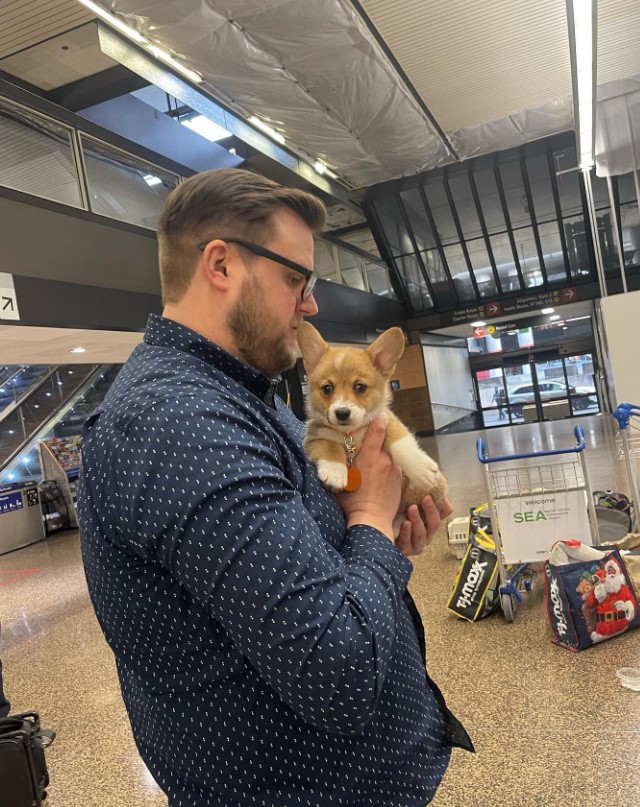 a man holds a corgi puppy in his arms