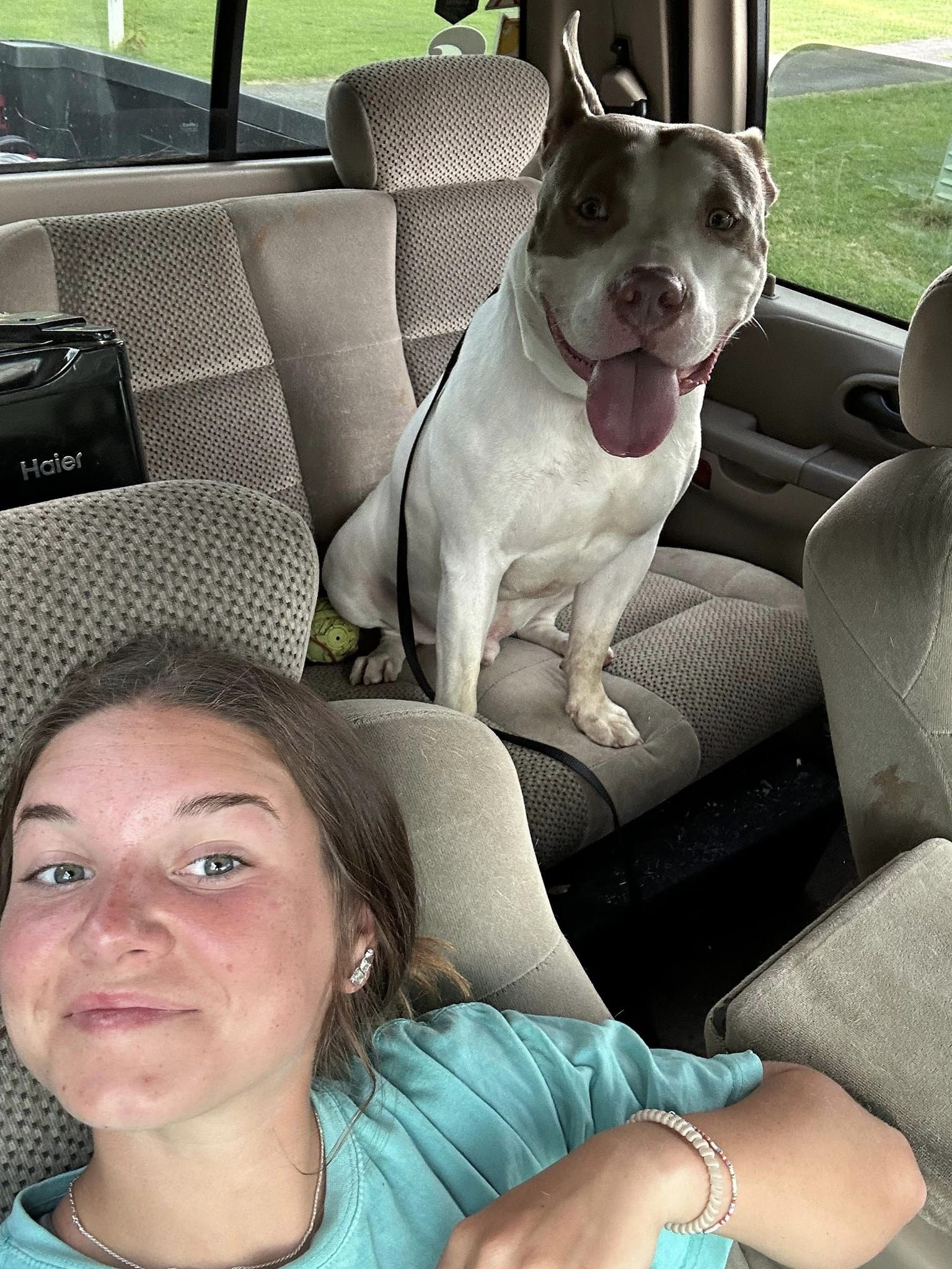 dog and a woman in a car