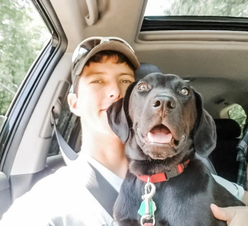 man and a dog named emerson in a car