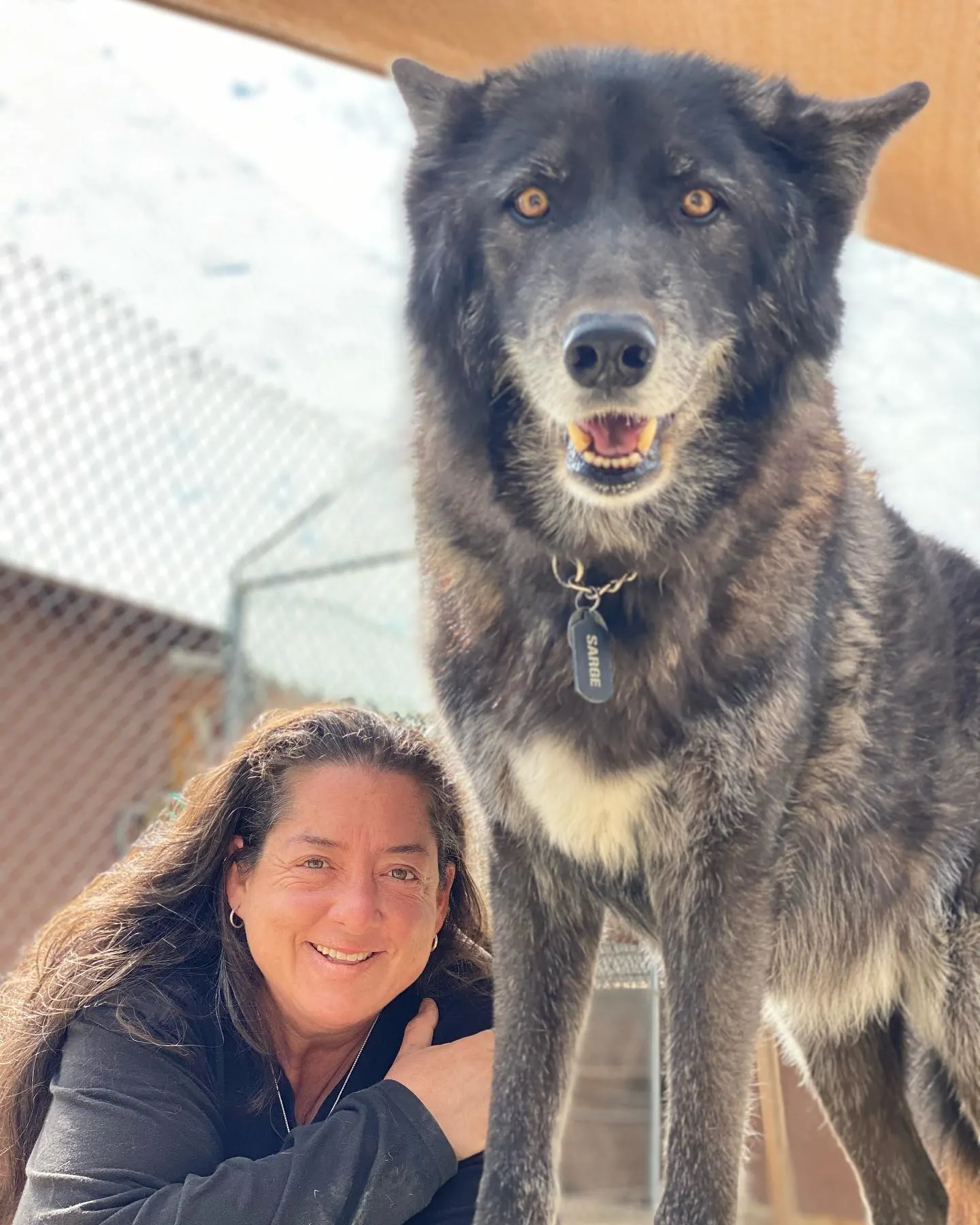 photo of a wolfdog and a woman